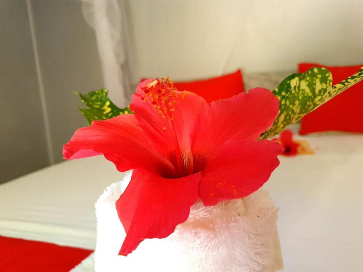 Villa Ilo Komba Nosy Komba 外观 照片